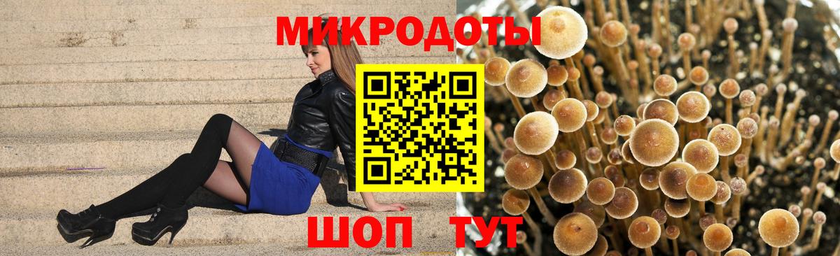 Псилоцибиновые грибы GOLDEN TEACHER Норильск