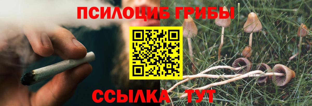 Норильск  Галлюциногенные грибы MAGIC MUSHROOMS  Вход с VPN  Псилоцибиновые грибы GOLDEN TEACHER 