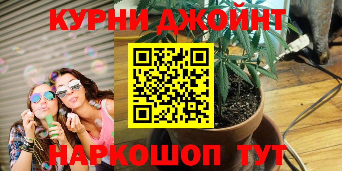 Конопля семена Норильск
